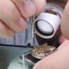 8 Tournevis pour Montre avec Têtes de Remplacement