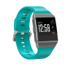 Acheter Bracelet de montre intelligente FitBit 24 mm Vert (Ionic)