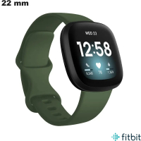 Betaalbare 22 mm rubberen horlogeband voor FitBit van hoge kwaliteit