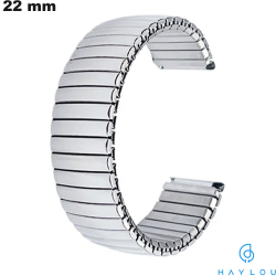 Bracelet Argenté de montre connectée 22 mm Haylou